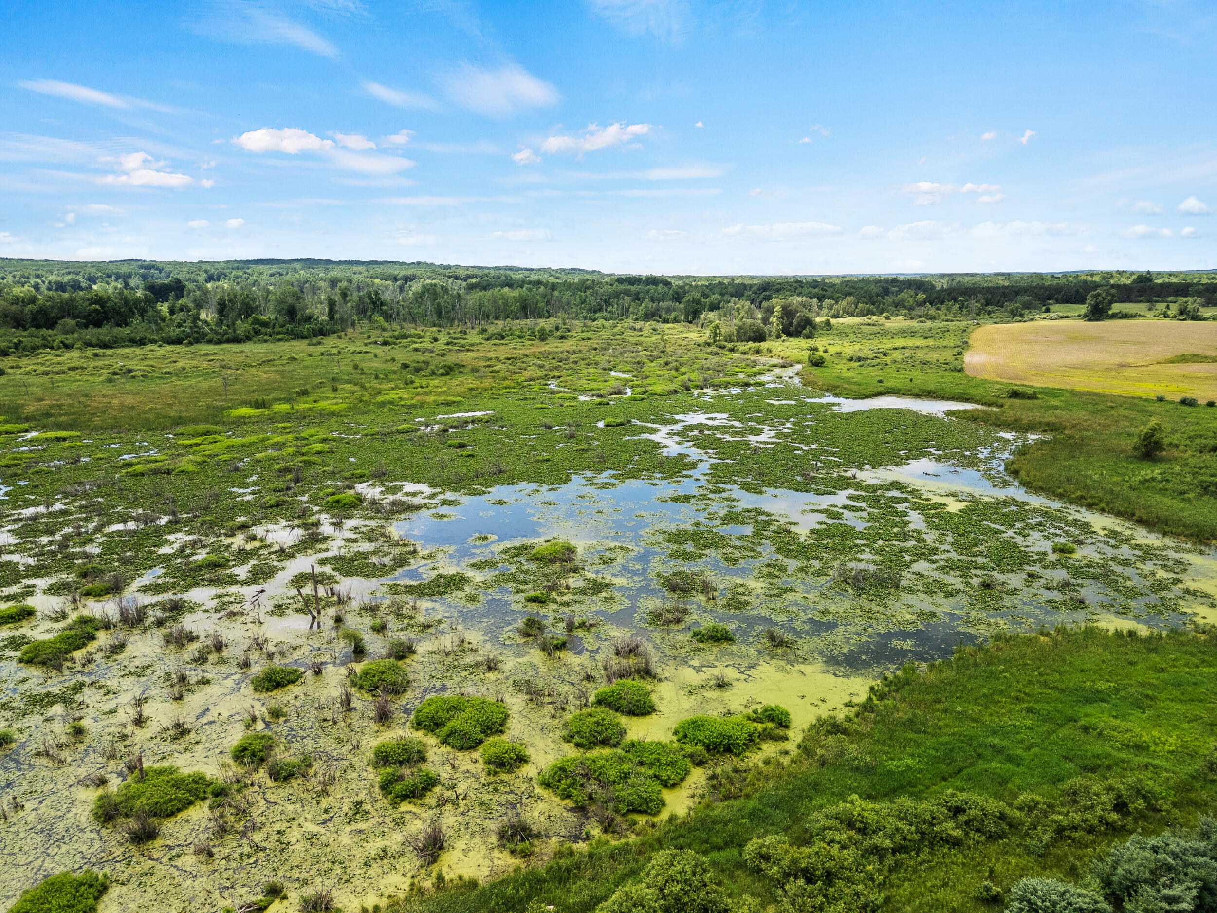 3250 17 Mile Road Barryton, MI 49305 - Photo 22 of 33 B-12 (1)