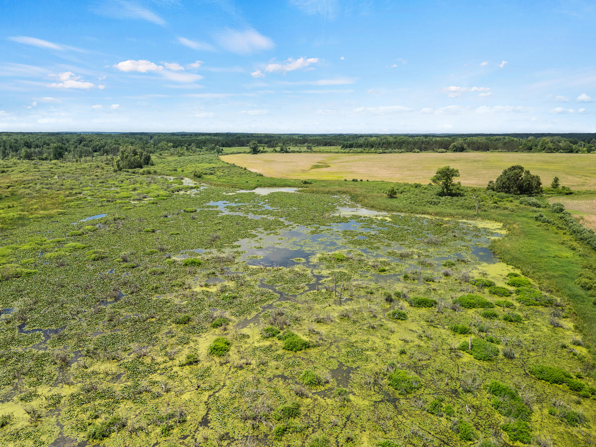 3250 17 Mile Road Barryton, MI 49305 - Photo 31 of 33 B-4 (1)