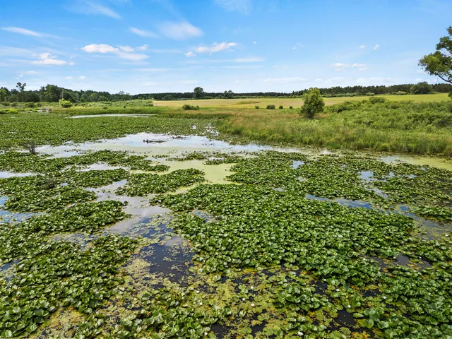 $595,000 | 3250 17 Mile Road, Barryton, MI 49305