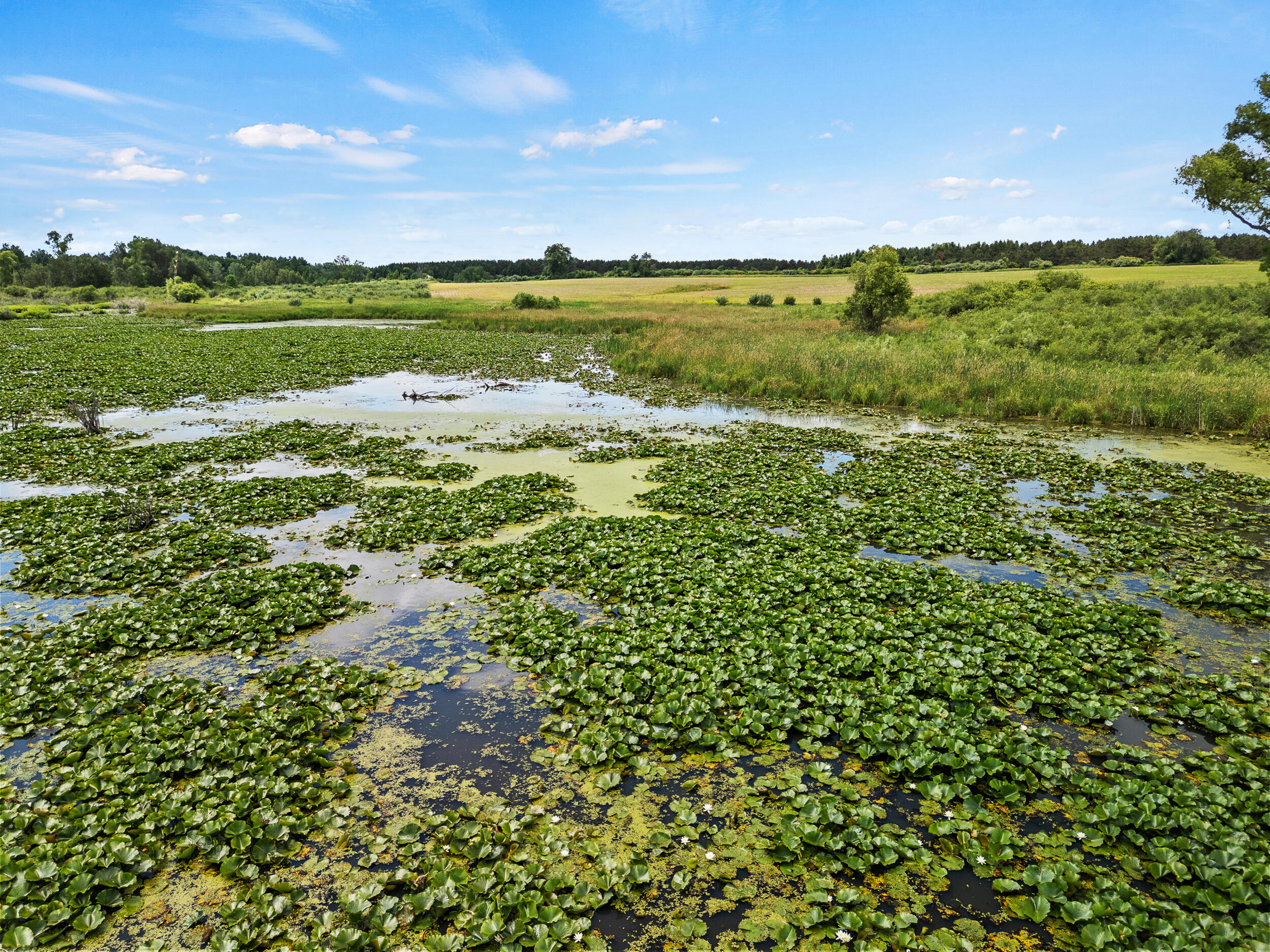 3250 17 Mile Road Barryton, MI 49305 - Photo 7 of 33 B-14