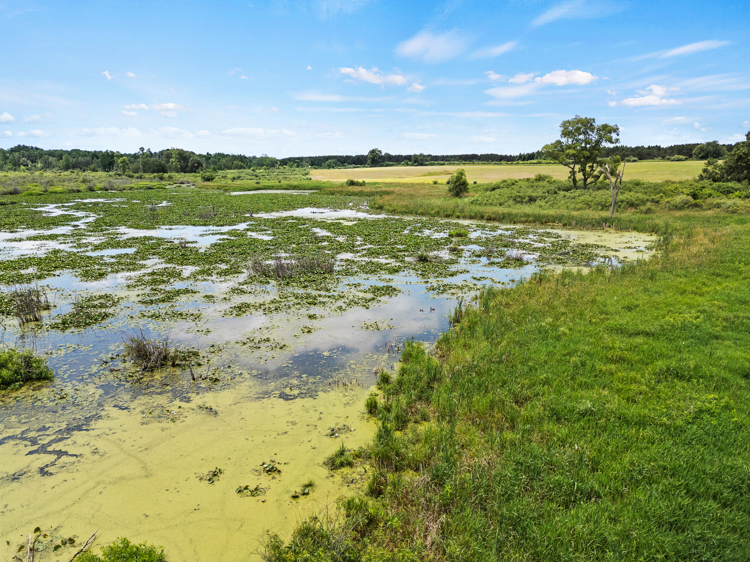 3250 17 Mile Road Barryton, MI 49305 - Photo 8 of 33 B-13