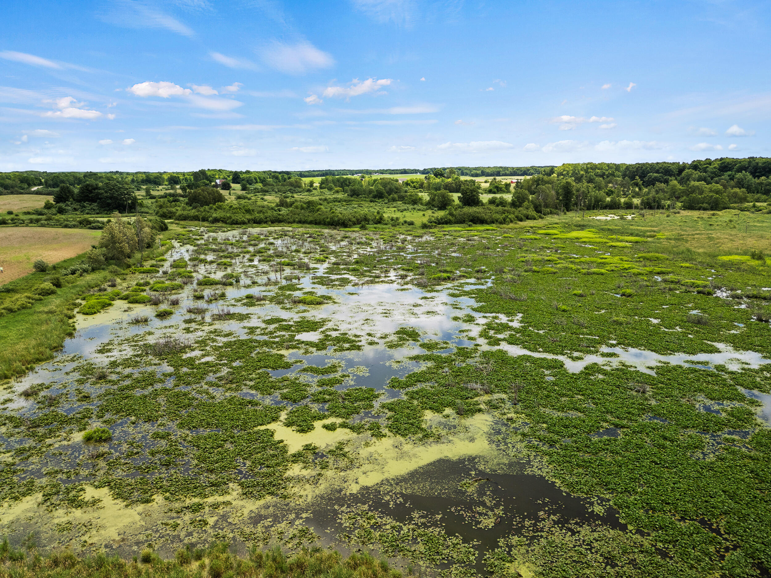 3250 17 Mile Road Barryton, MI 49305 - Photo 9 of 33 B-16