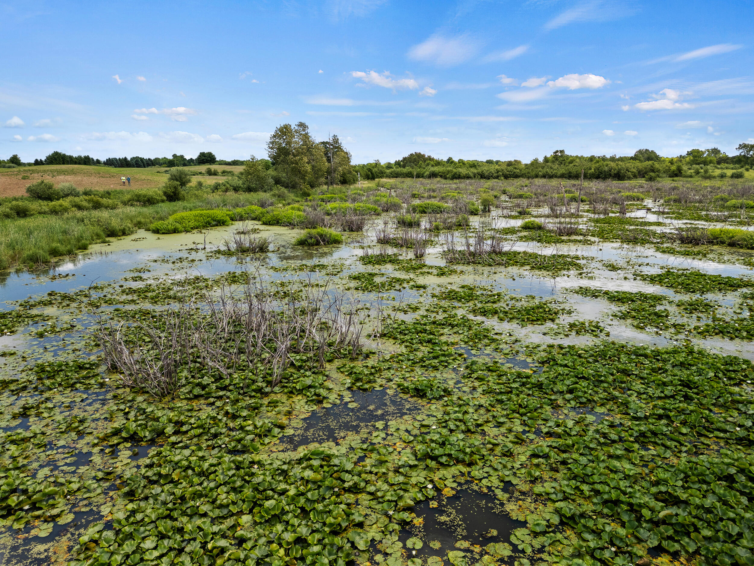 3250 17 Mile Road Barryton, MI 49305 - Photo 10 of 33 B-15