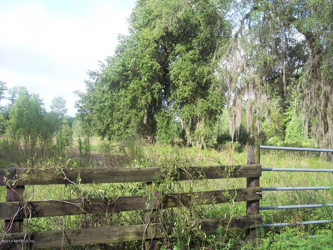 1725 State Rte 100 Melrose, FL 32666 - Photo 2 of 6 a view of a yard