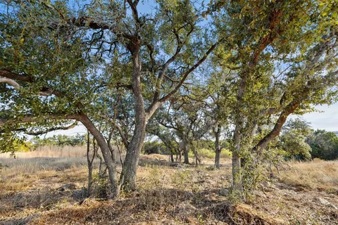 a view of a yard with large trees