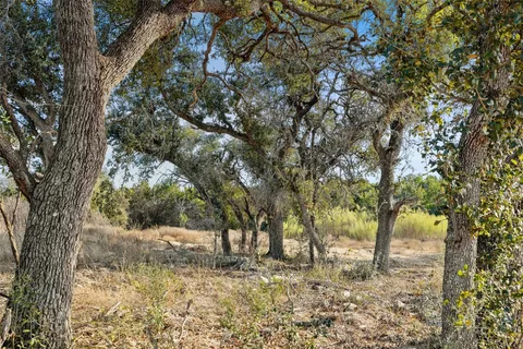 a view of a yard with trees