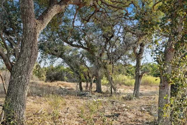 a view of a yard with trees