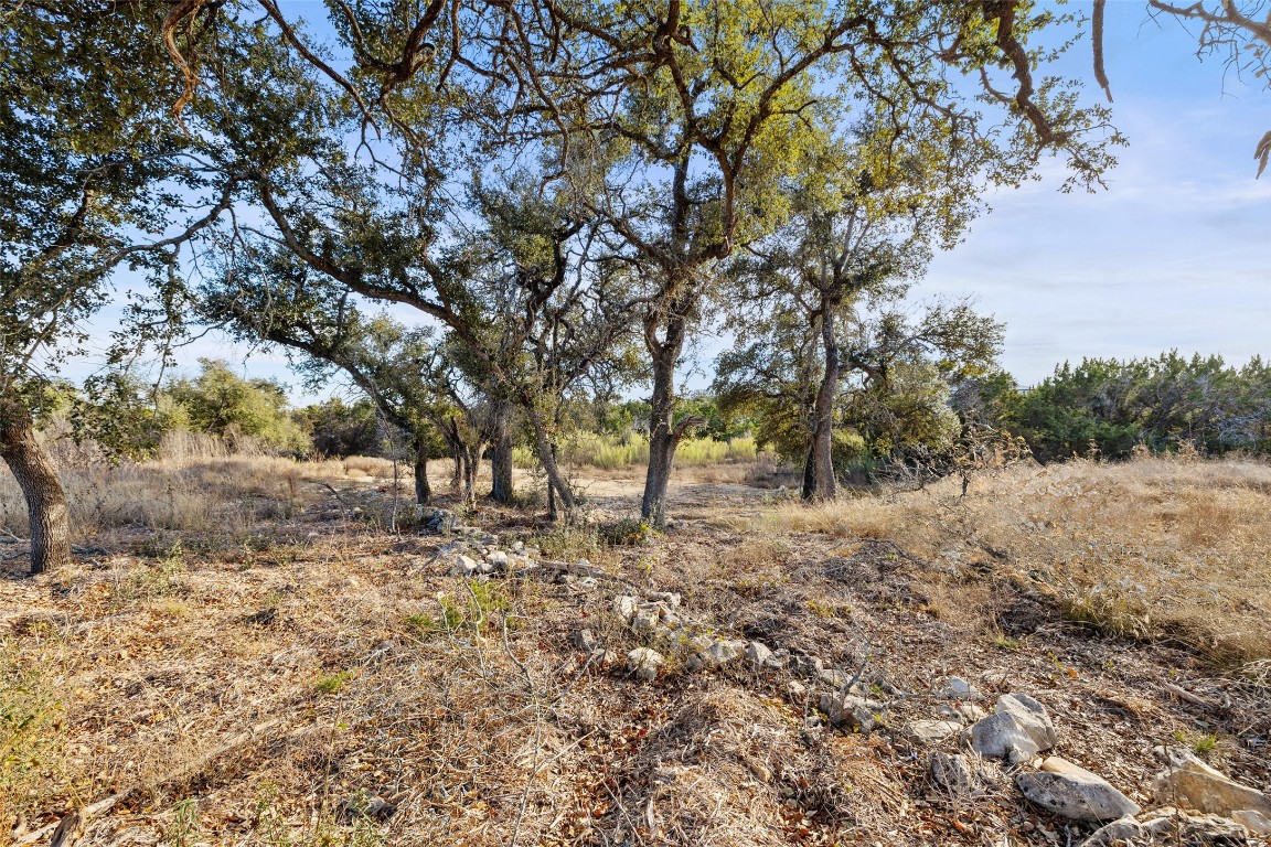 17105 Morning Grove Lane Austin, TX 78738 - Photo 15 of 21 a view of a yard with trees