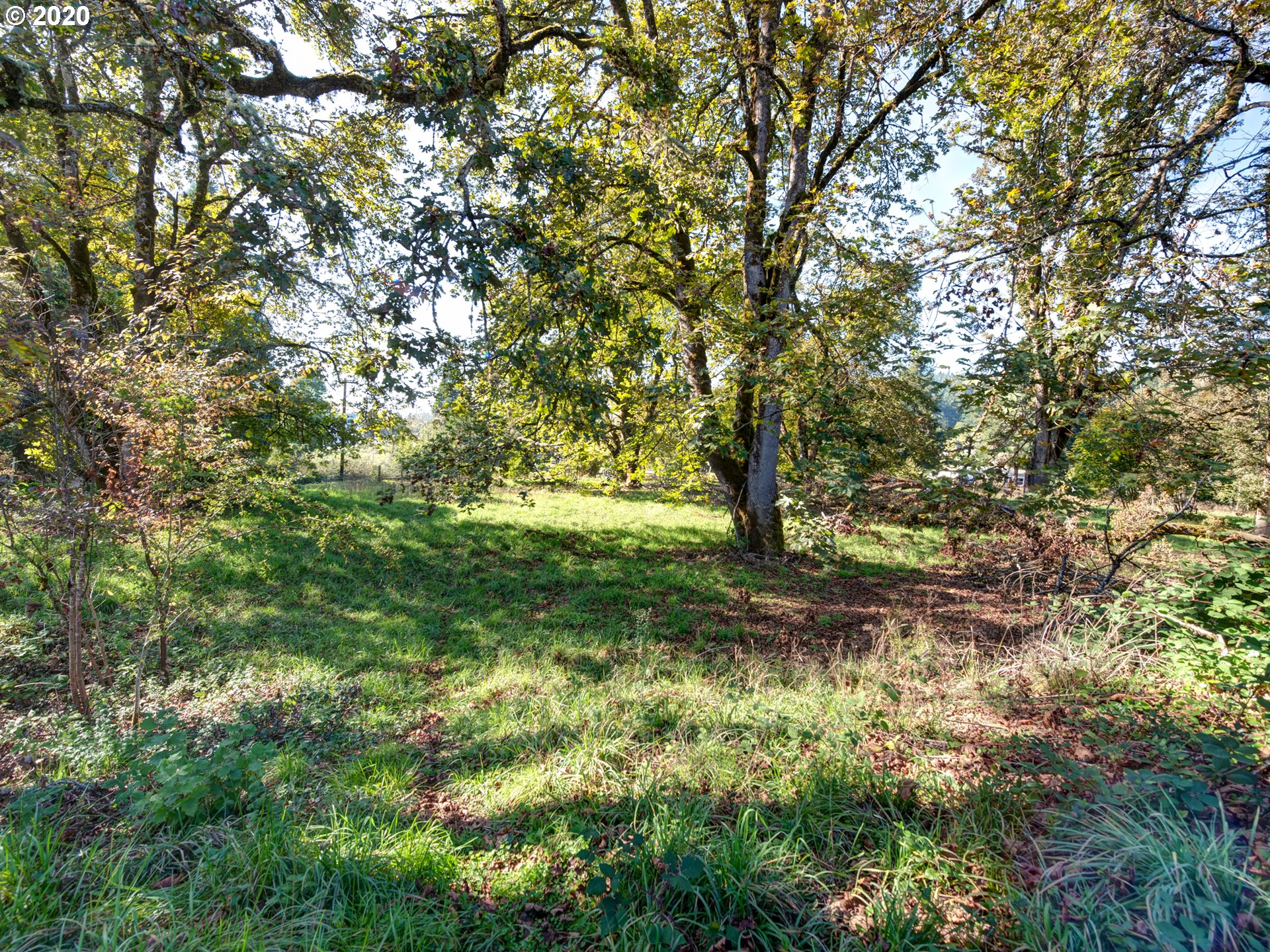 38757 Camp Creek Road Springfield, OR 97478 - Photo 25 of 32