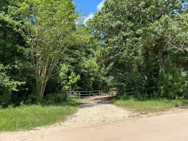 a view of backyard with green space