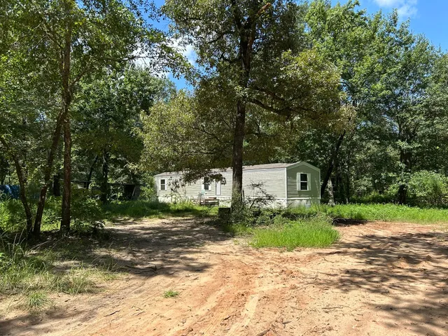a view of a yard with plants and large trees