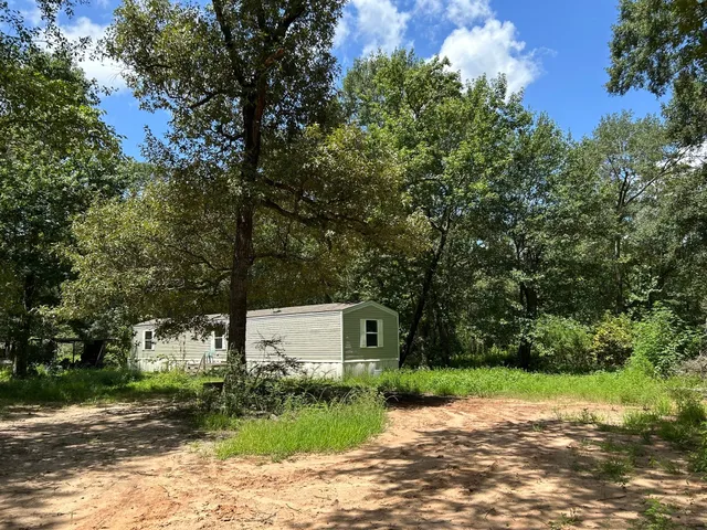 a view of a yard with plants and trees