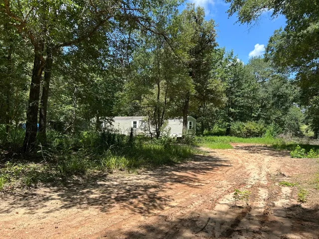 a view of backyard with green space