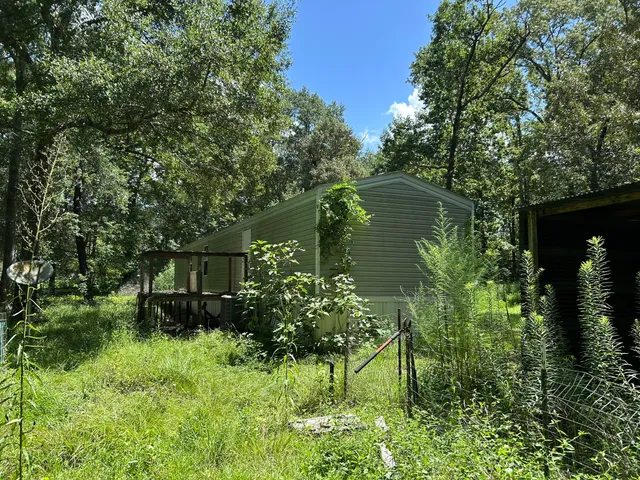 a view of a tree in a yard