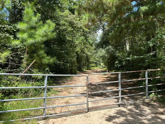 a view of an outdoor space