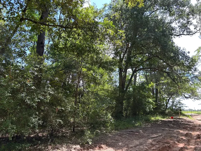 $218,120 | 87 Townley Ranch Road, Huntsville, TX 77320