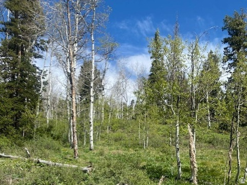 1798 West Alexander Road, Unit G65 Coalville, UT 84017 - Photo 3 of 11 Elevated natural terrain featuring a mix of mature evergreen and deciduous trees