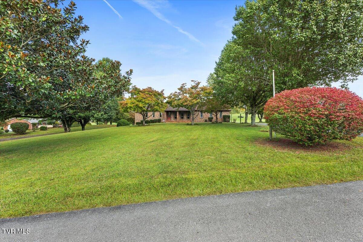 809 Vickars Road Bluff City, TN 37618 - Photo 11 of 40 02-128A3167