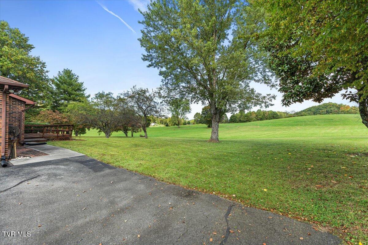 809 Vickars Road Bluff City, TN 37618 - Photo 8 of 40 06-128A3179