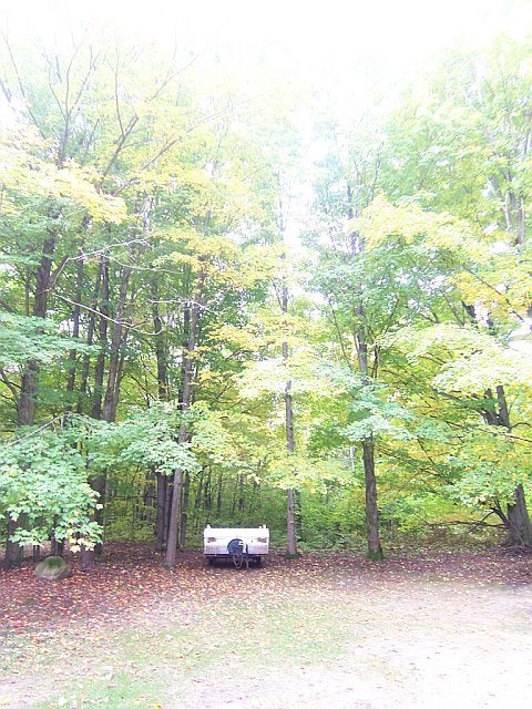 6701 Wolf Road Frederic, MI 49733 - Photo 14 of 17 Gallery Image 14
