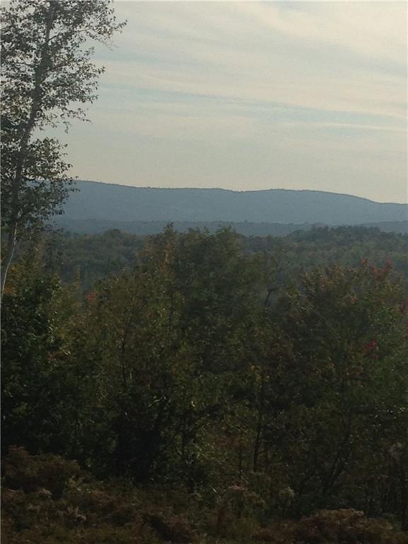 0 Estes Road Bryant Pond, ME 04219 - Photo 10 of 16 Photo