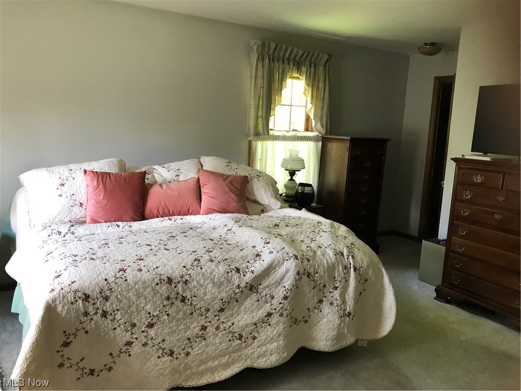 3575 Easy Street Canfield, OH 44406 - Photo 20 of 26 Master Bedroom with Master bath & walk-in