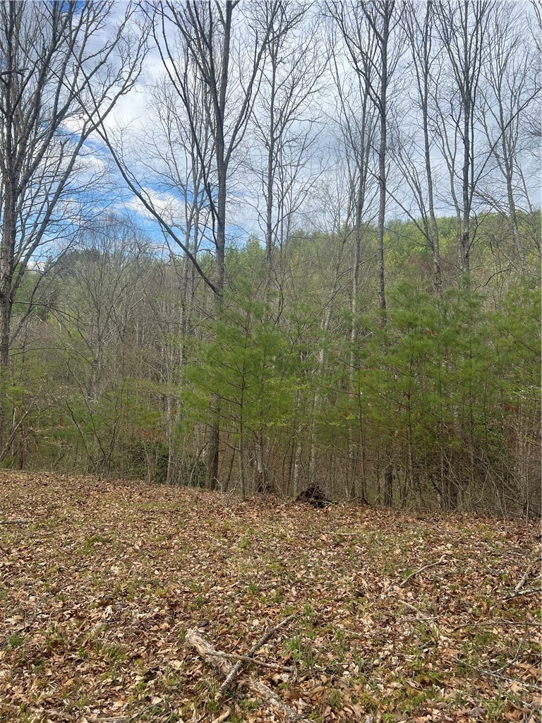 River Bend Hills Road Crumpler, NC 28617 - Photo 3 of 3