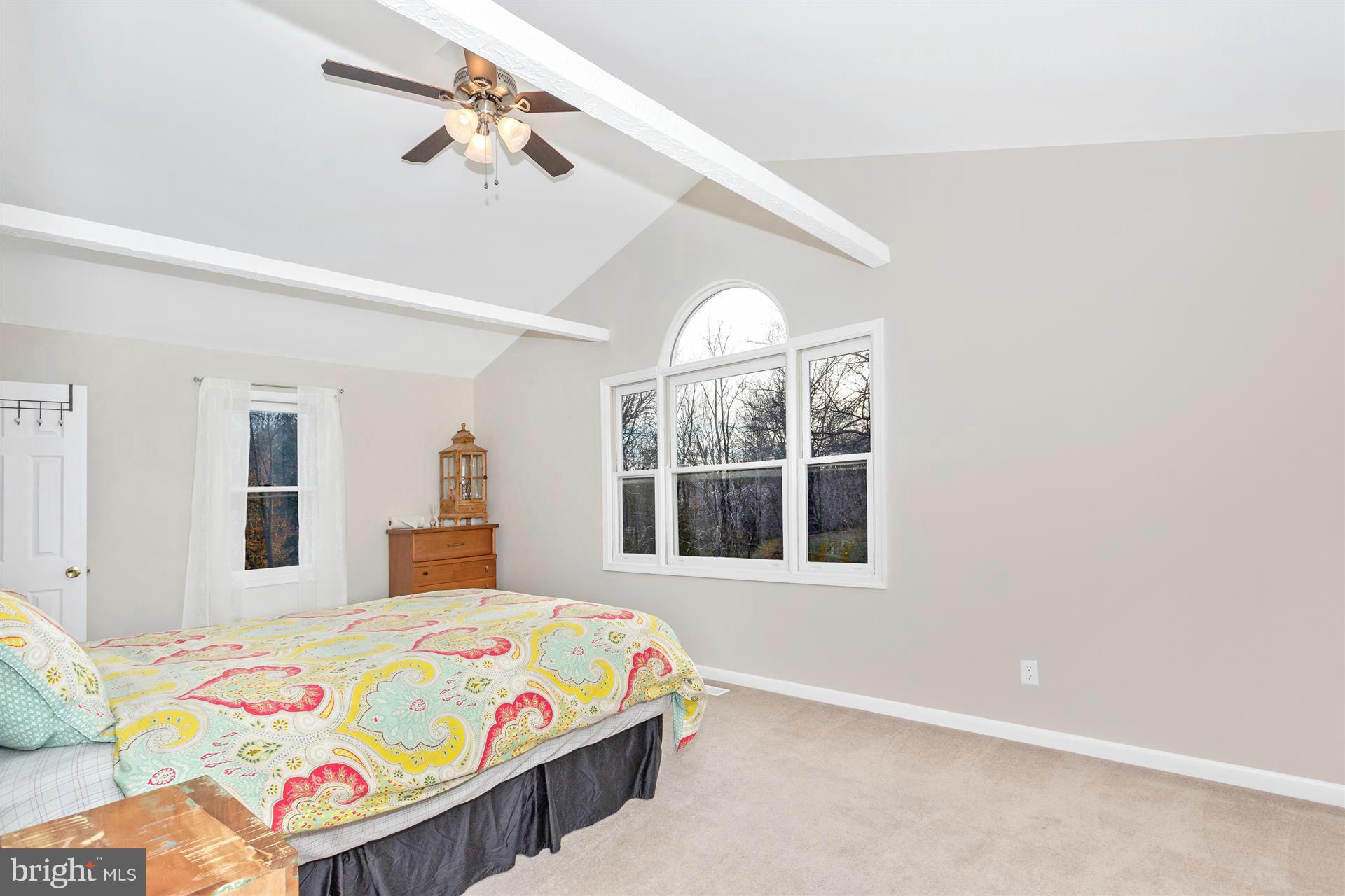 8291 Old Montgomery Road Columbia, MD 21045 - Photo 16 of 30 Bedroom (Master)
