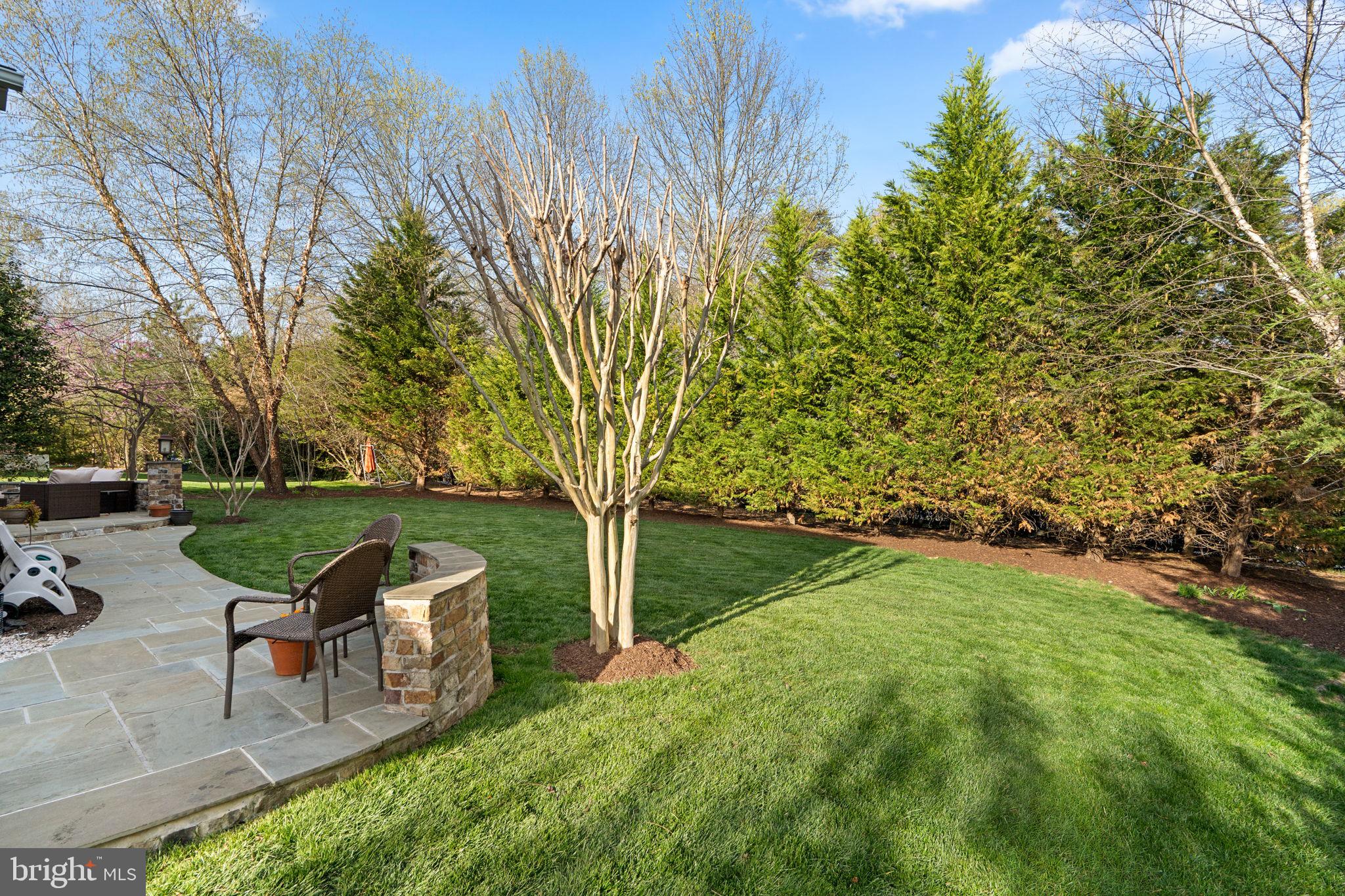 9323 Castle Hill Road Springfield, VA 22153 - Photo 78 of 95