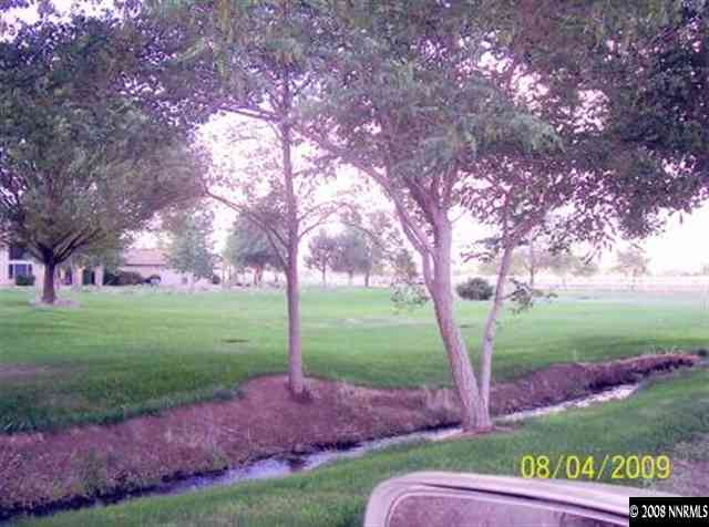 489 Lower Colony Road Wellington, NV 89444 - Photo 3 of 9 Photo 3