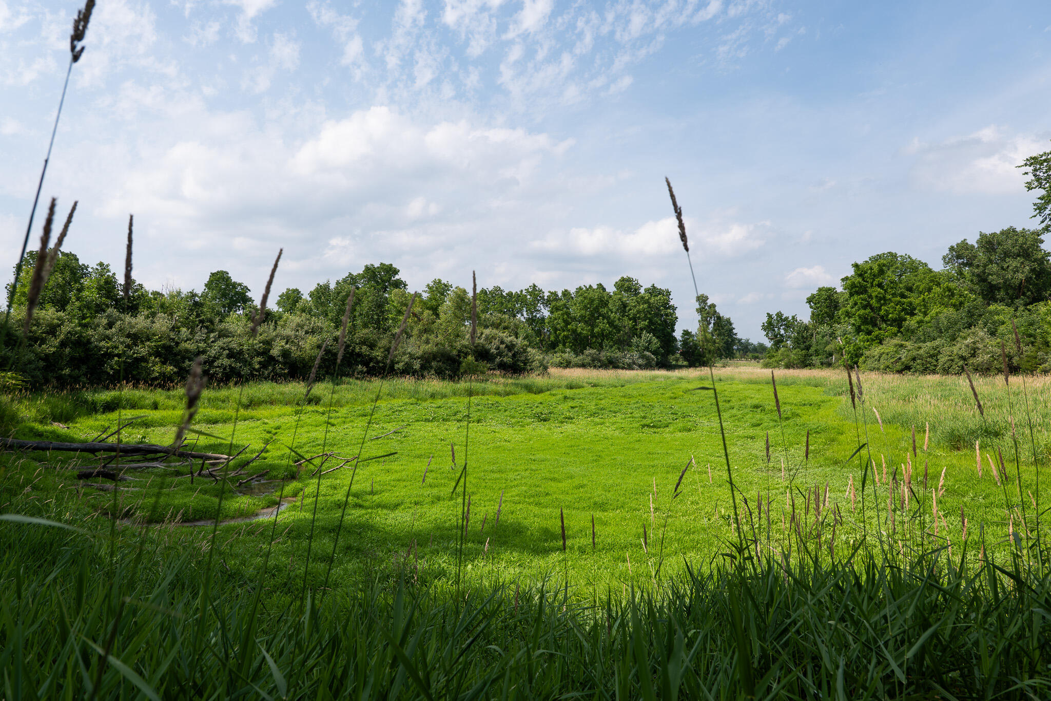 3282 Jerome Road North North Adams, MI 49262 - Photo 20 of 34 P1067856