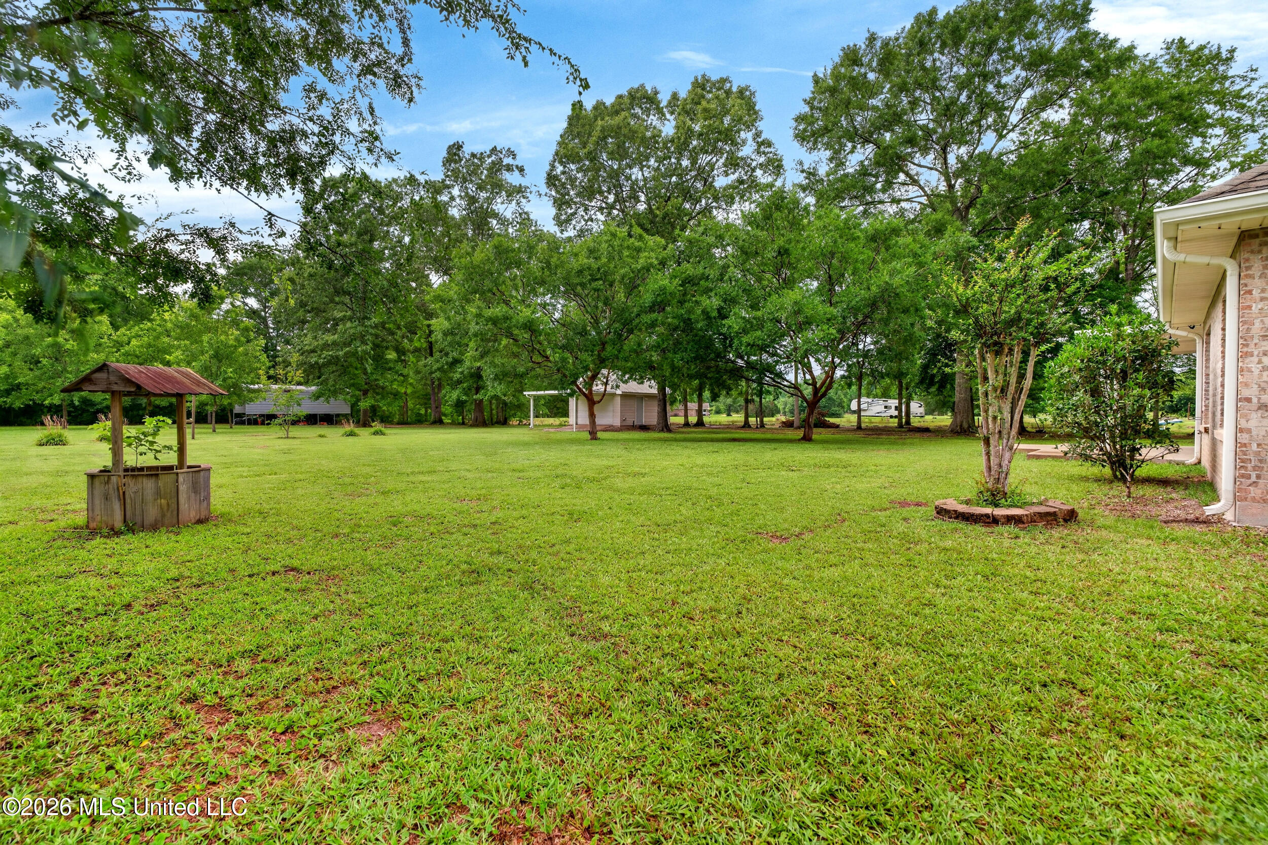 17 JM Carnell Road Poplarville, MS 39470 - Photo 46 of 65 46_46_backyard