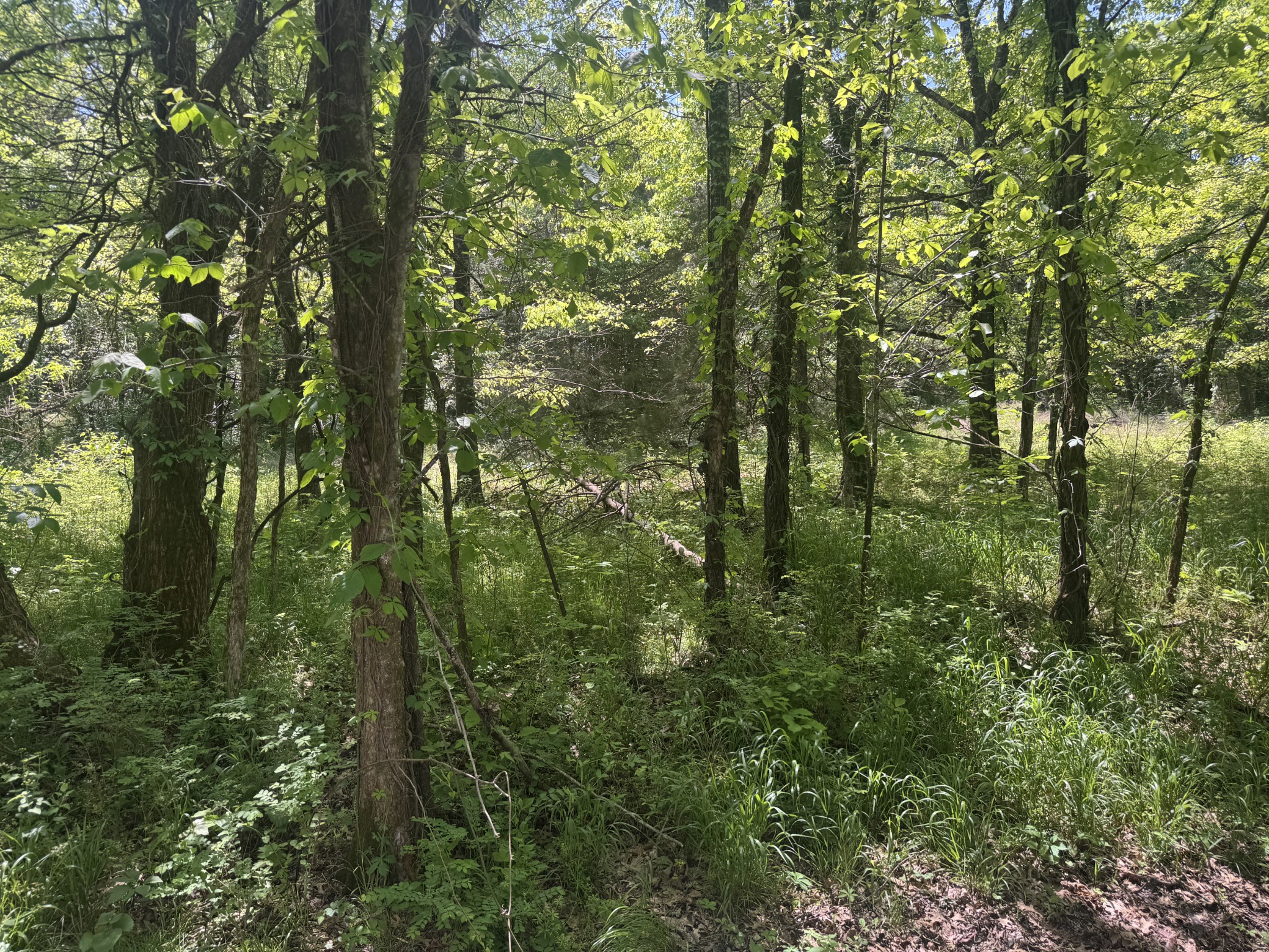 197 Blue Smith Road Petersburg, TN 37144 - Photo 29 of 29