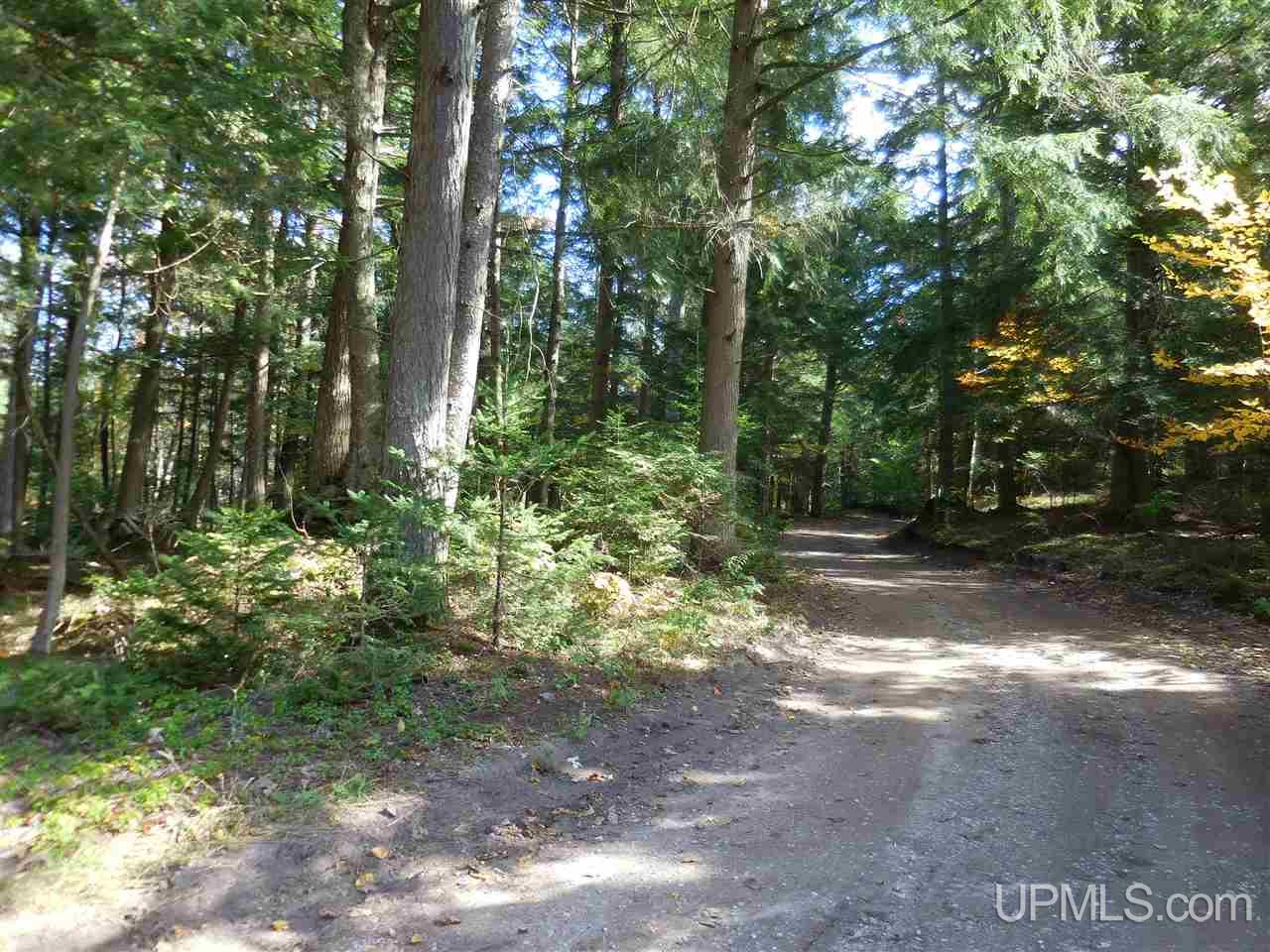 12 Acres Off Rice Road Manistique, MI 49854 - Photo 10 of 14