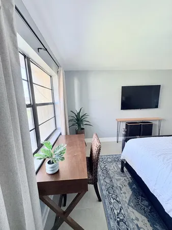 a living room with furniture and a potted plant