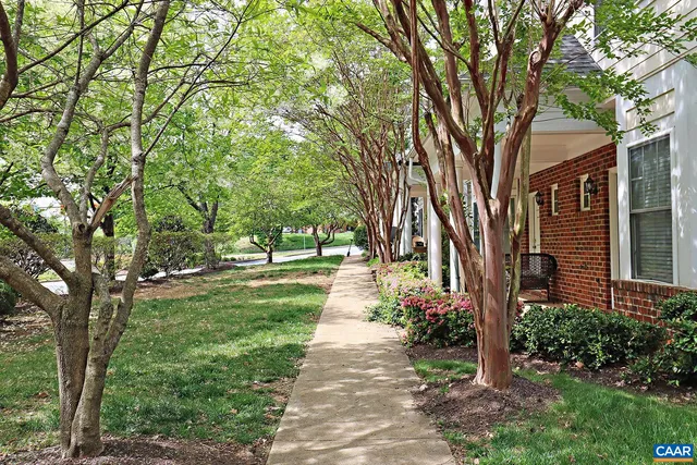 a walkway with trees on sides