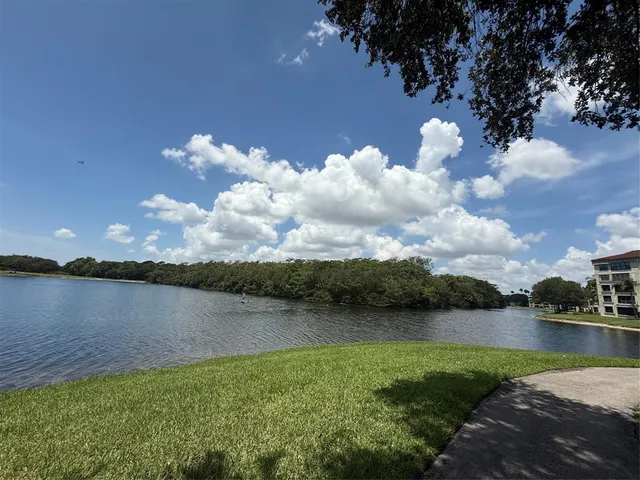 a view of a lake in middle of forest