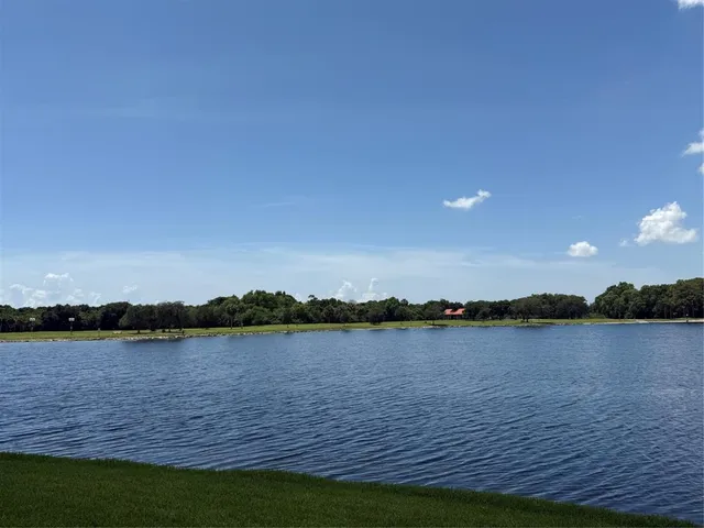 a view of a lake with houses in the background