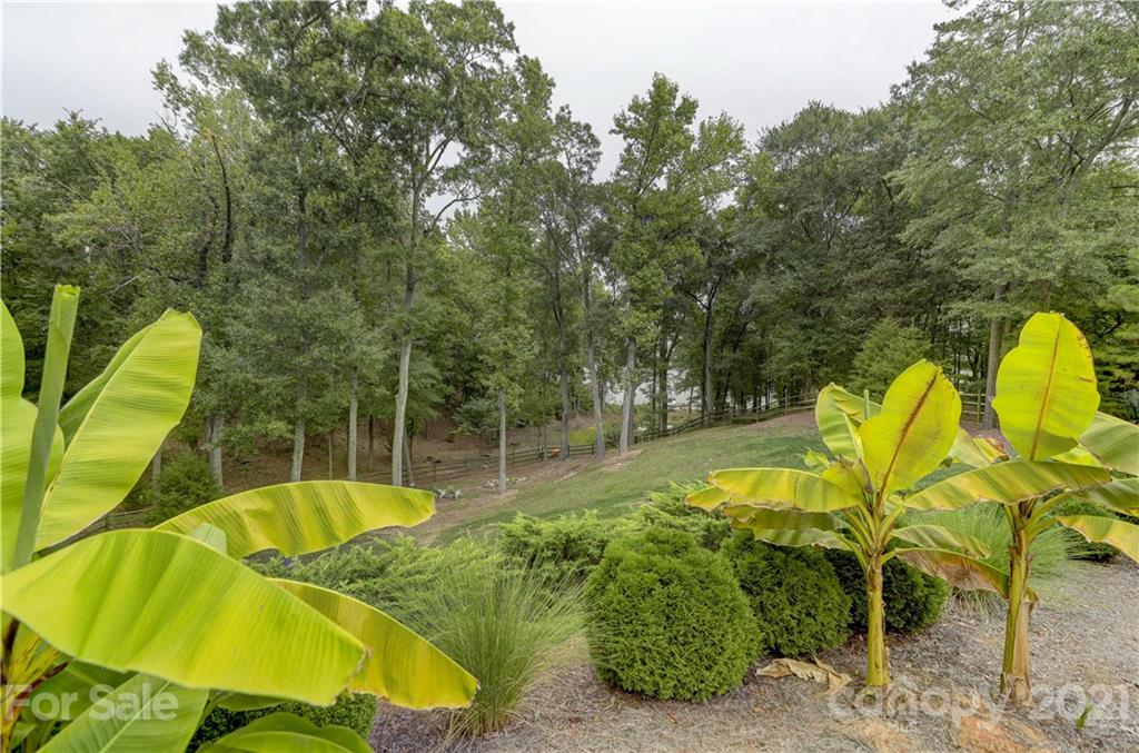 5308 Masons Ferry Road Lake Wylie, SC 29710 - Photo 45 of 48 Gallery Image 45