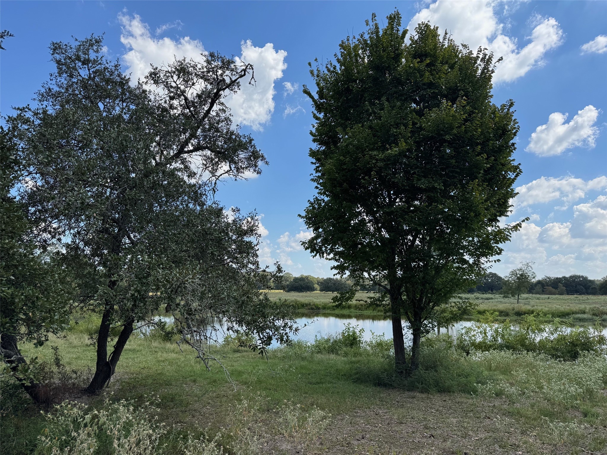 3817 Fm 154 Muldoon, TX 78949 - Photo 14 of 38 a view of a garden with a tree