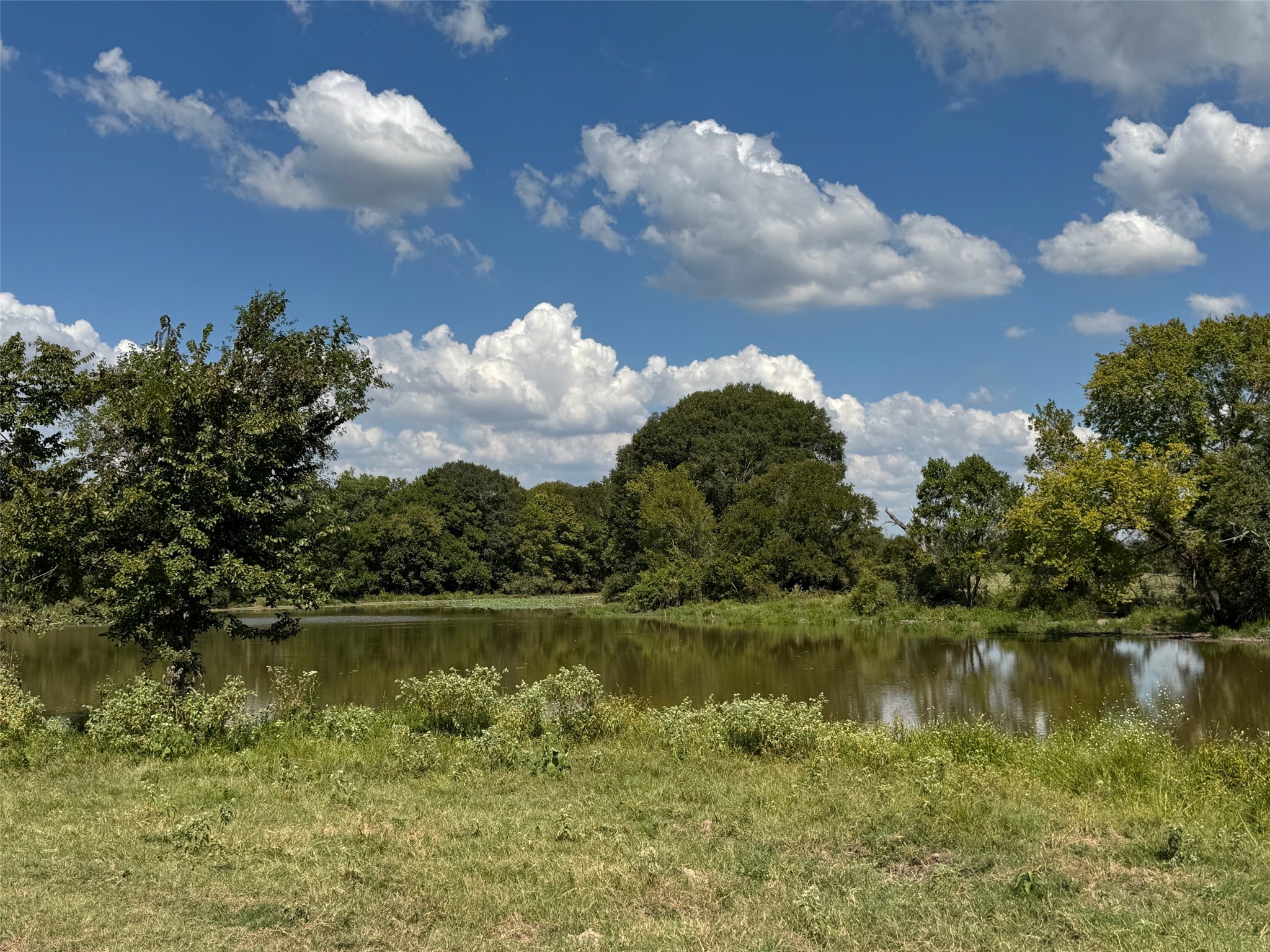 3817 Fm 154 Muldoon, TX 78949 - Photo 15 of 37 a view of a lake with houses in the background
