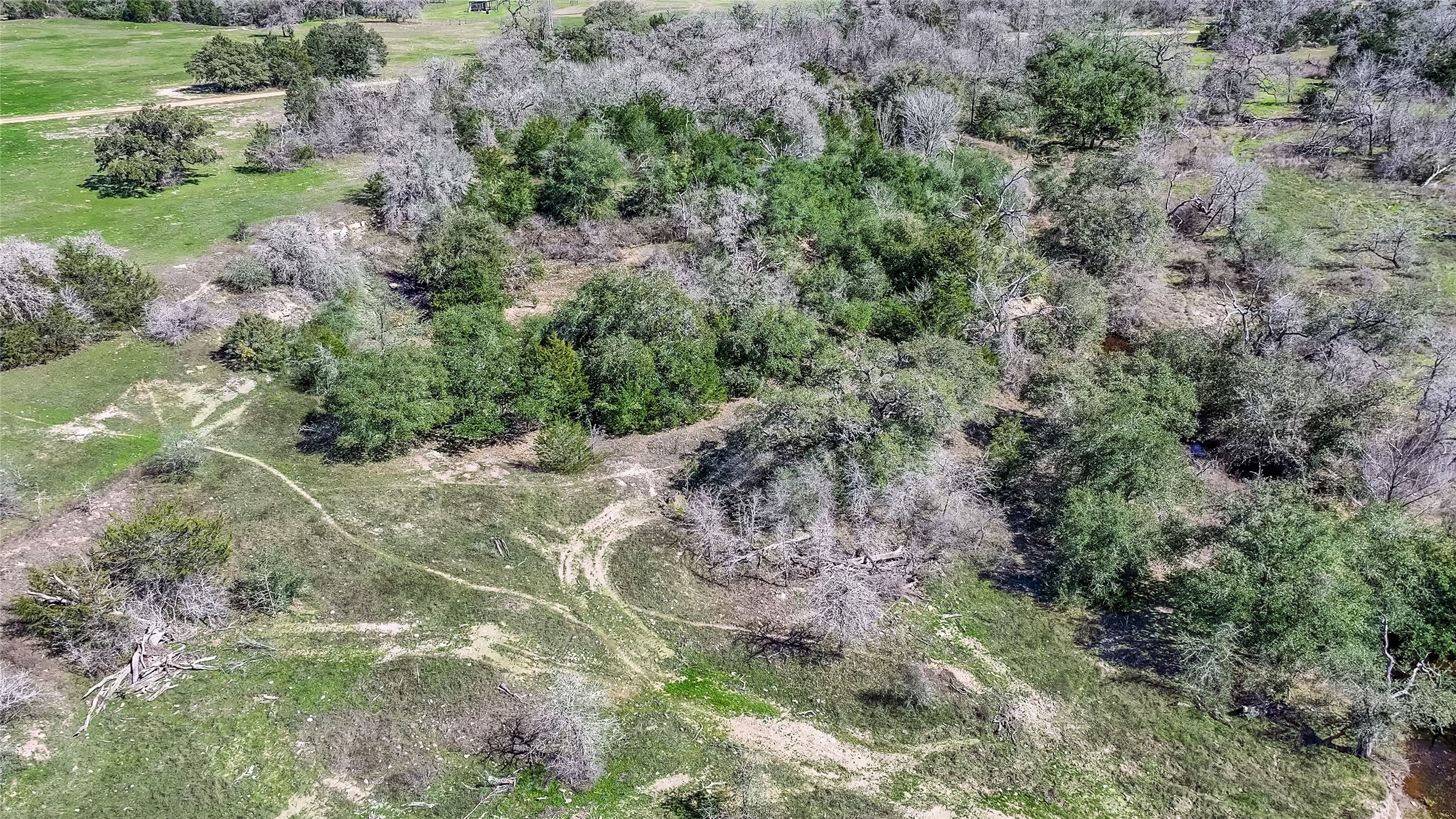 3817 Fm 154 Muldoon, TX 78949 - Photo 25 of 37 a view of a yard with plants and large trees