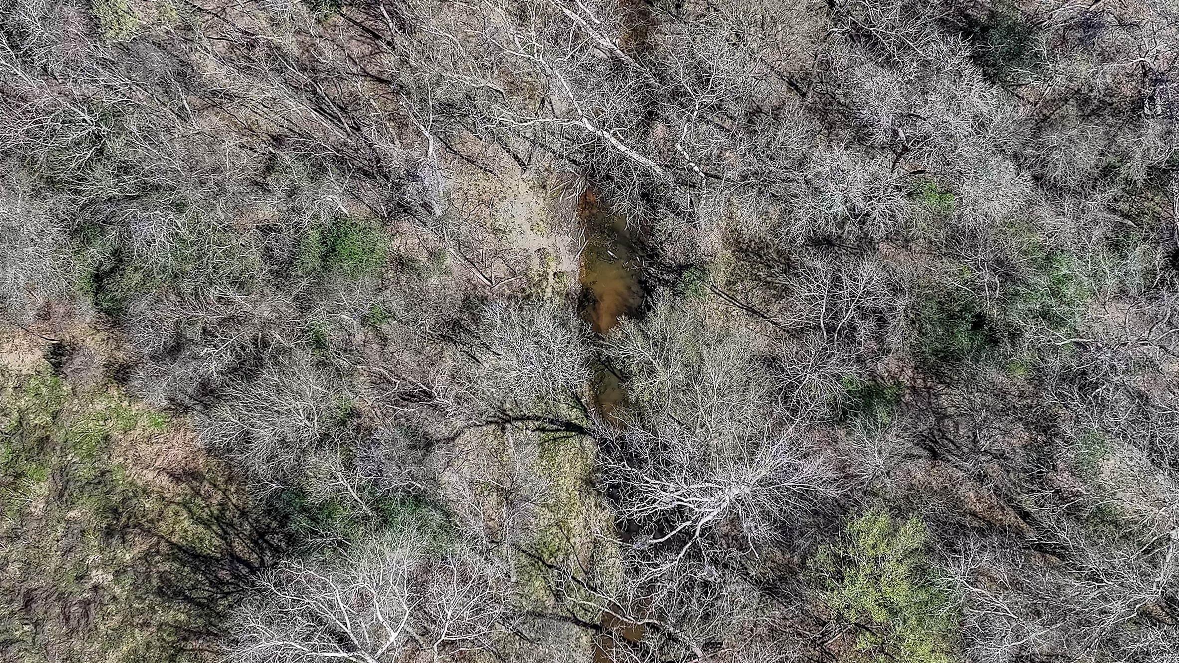 3817 Fm 154 Muldoon, TX 78949 - Photo 28 of 38 a view of a field with a tree