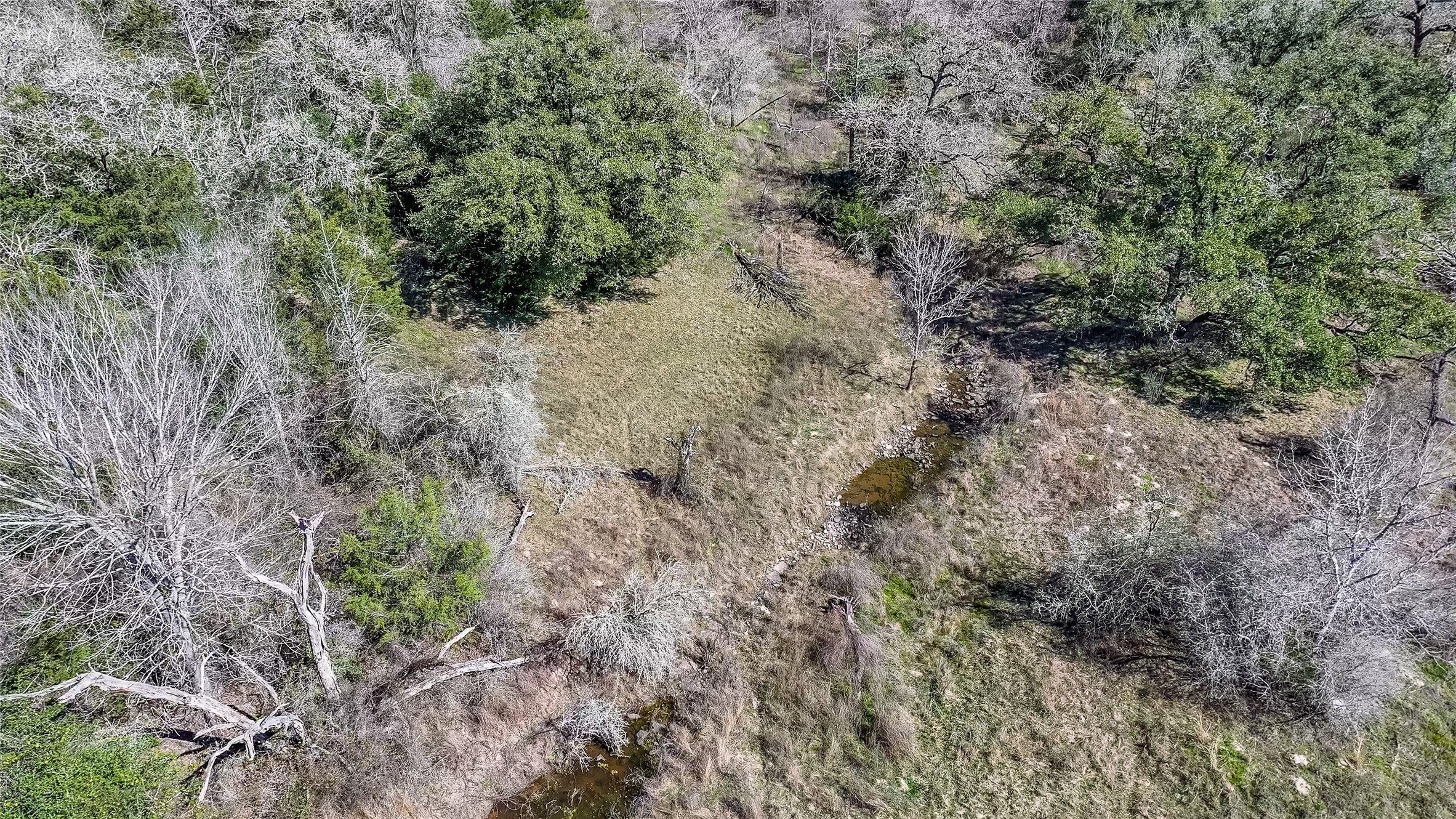 3817 Fm 154 Muldoon, TX 78949 - Photo 30 of 38 a view of a forest with trees in the background