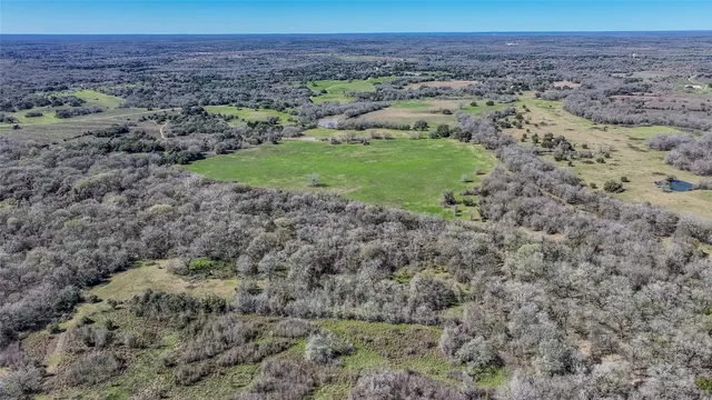 a view of a dry yard