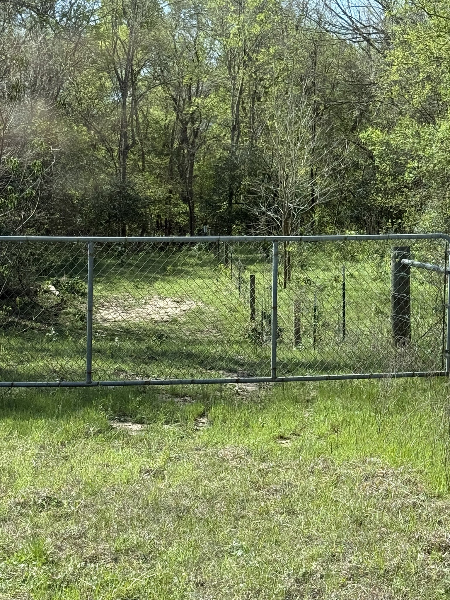 3817 Fm 154 Muldoon, TX 78949 - Photo 34 of 37 a garden view