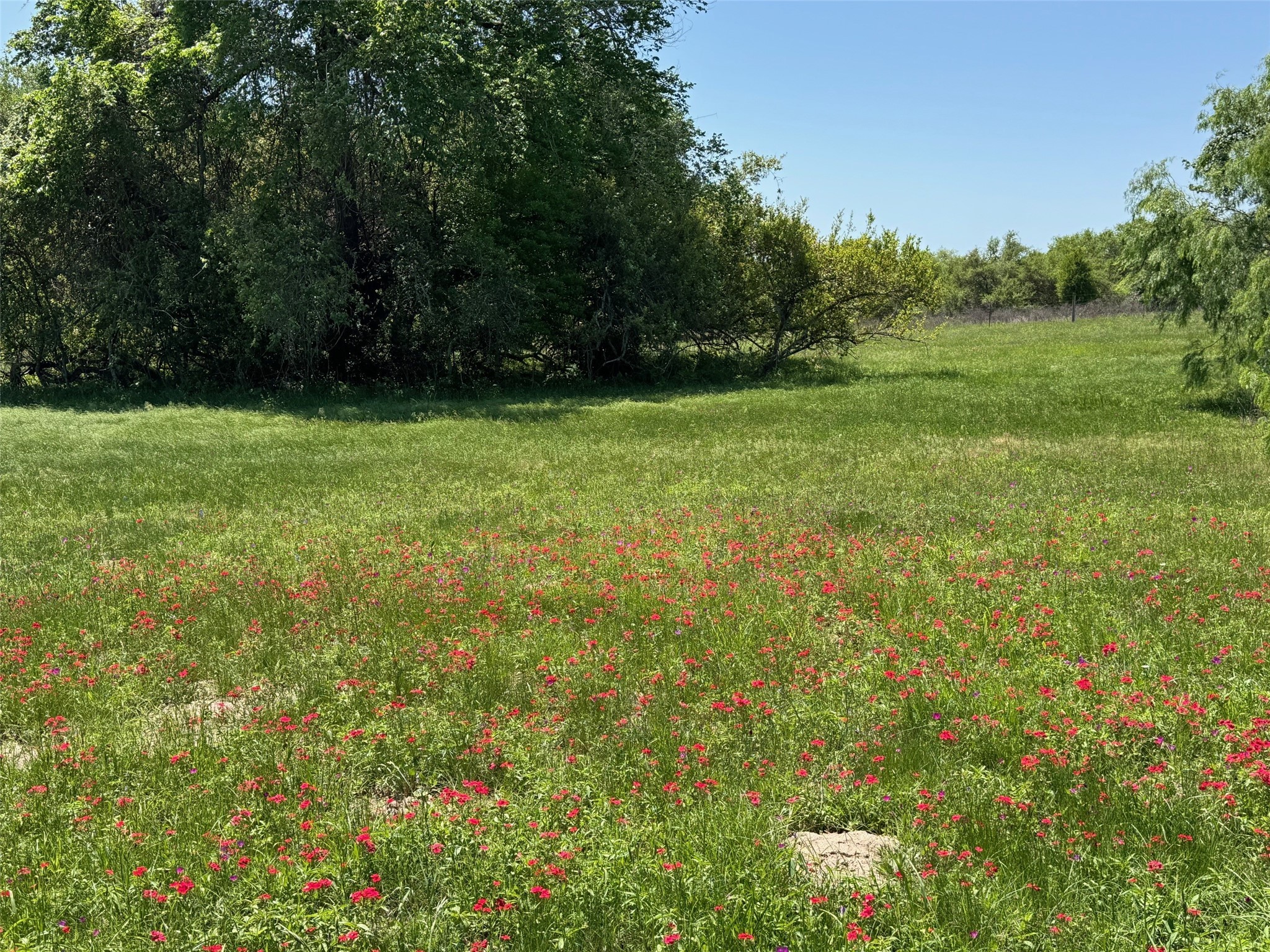 3817 Fm 154 Muldoon, TX 78949 - Photo 35 of 38 a view of outdoor space and yard