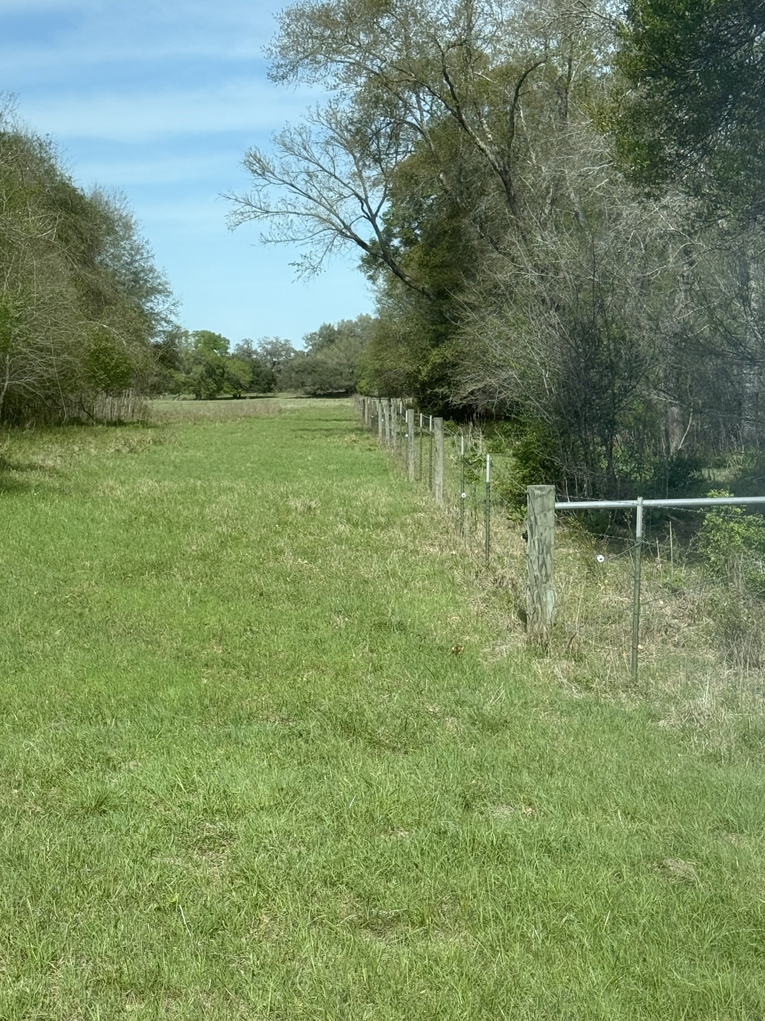 3817 Fm 154 Muldoon, TX 78949 - Photo 35 of 37 a view of a lake view
