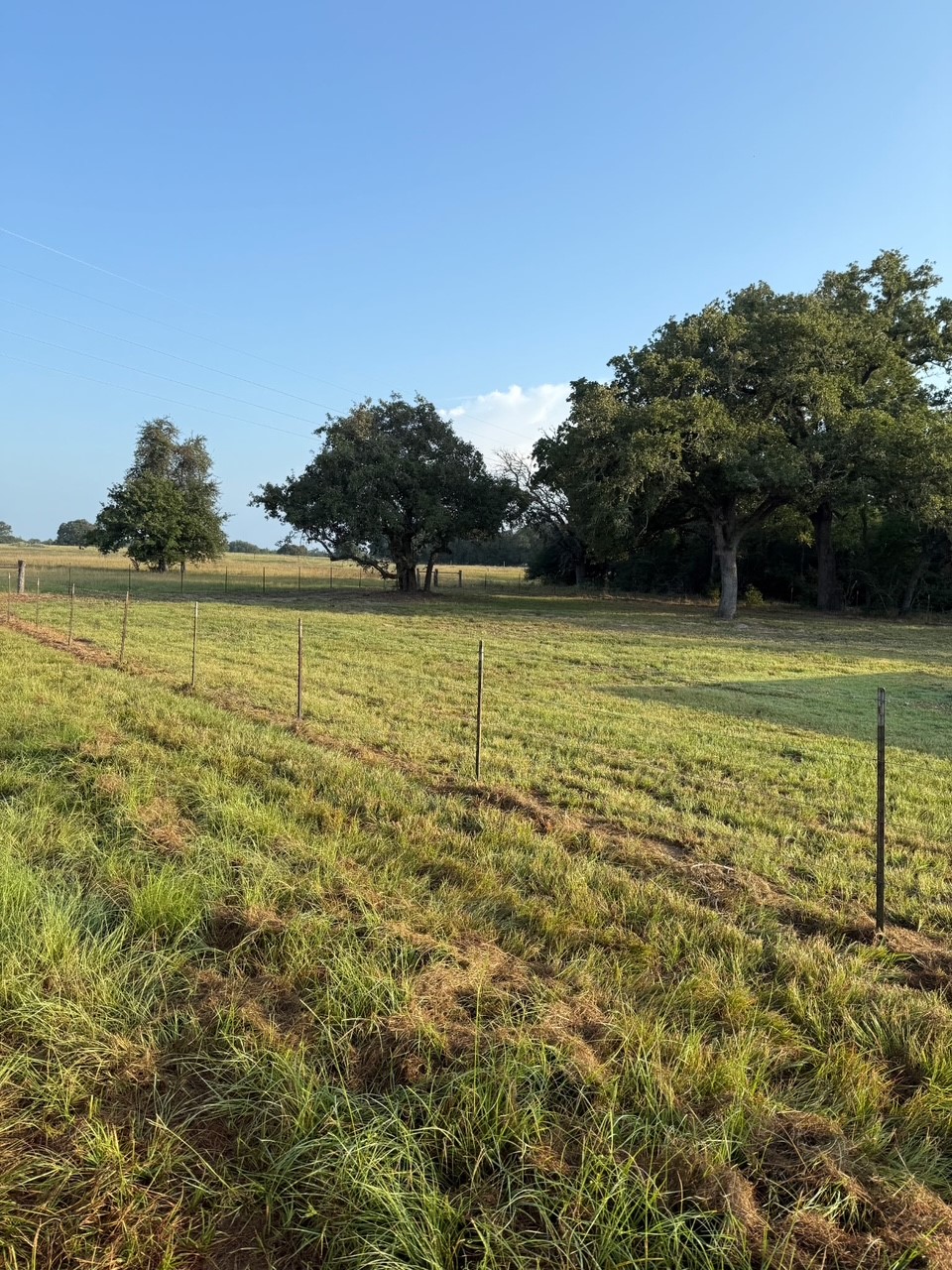 3817 Fm 154 Muldoon, TX 78949 - Photo 36 of 38 a view of a lake view
