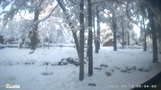 $350,000 | 135 Spruce Drive, Mormon Lake, AZ 86038